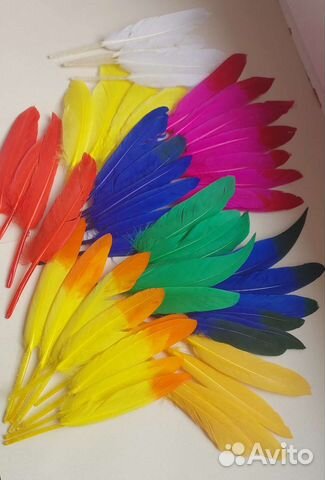Перья цветные перо