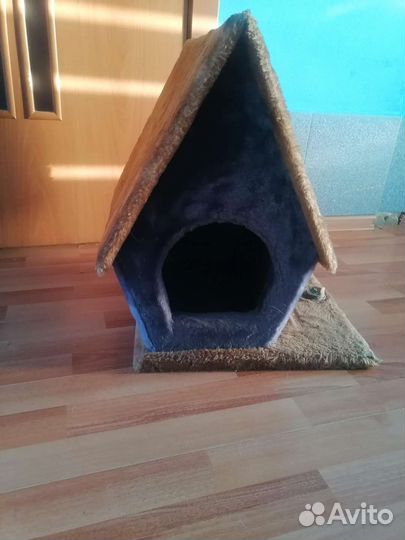 Кошачий дом