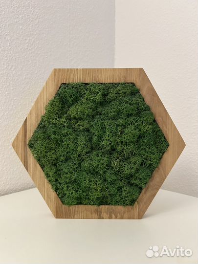 Стабилизированный мох (декор с крепежом)