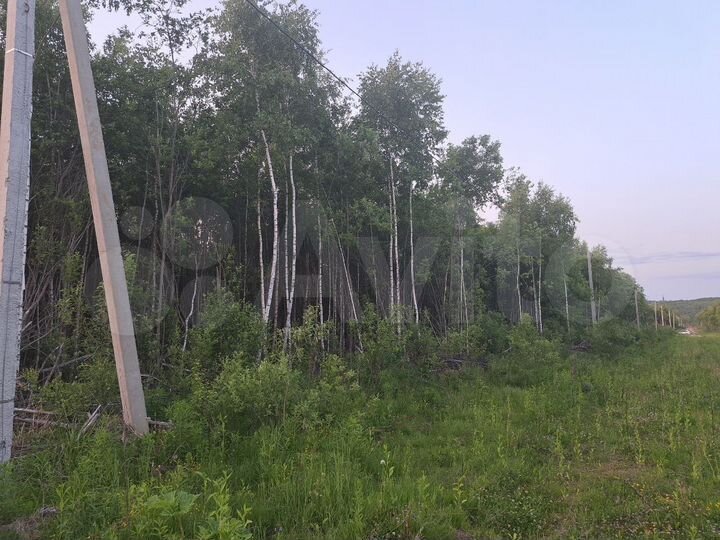 Участок 15 сот. (ИЖС)