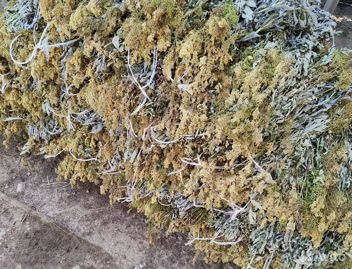 Веники и травы