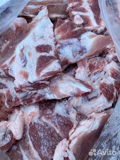 Мясо свинина. Окорок, лопатка, грудинка, ребро