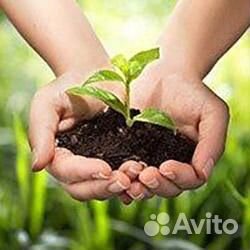 Плодородный грунт в мешках