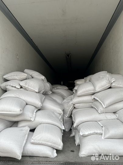 Ядро Подсолнечное