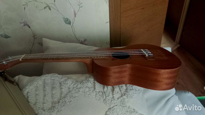 Укулеле flight концерт