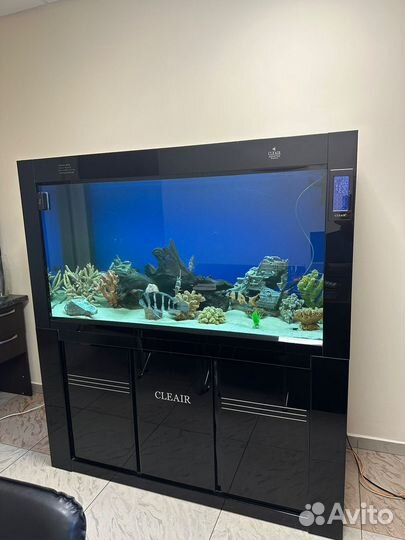 Аквариум cleair