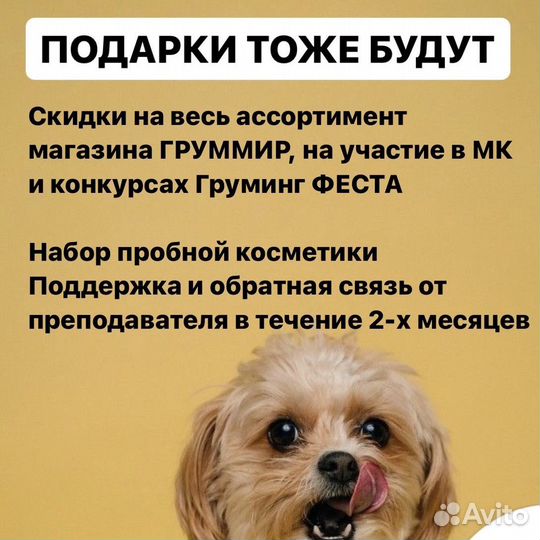 Курс по грумингу