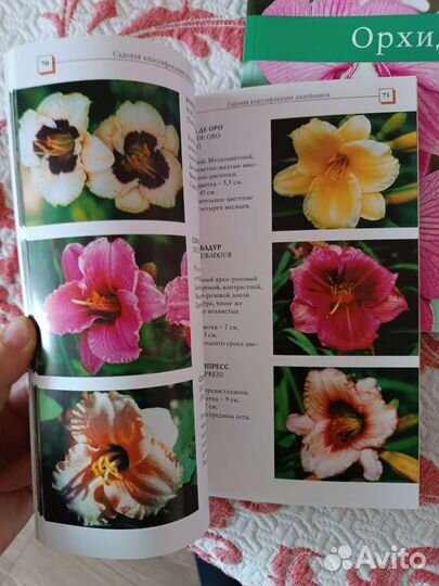 Книги ландшафт и другие