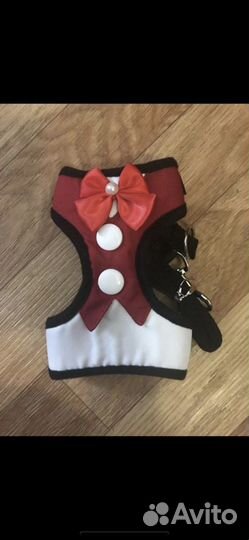 Лук для собачки