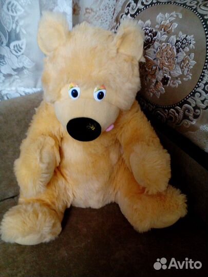 Медведи,собака