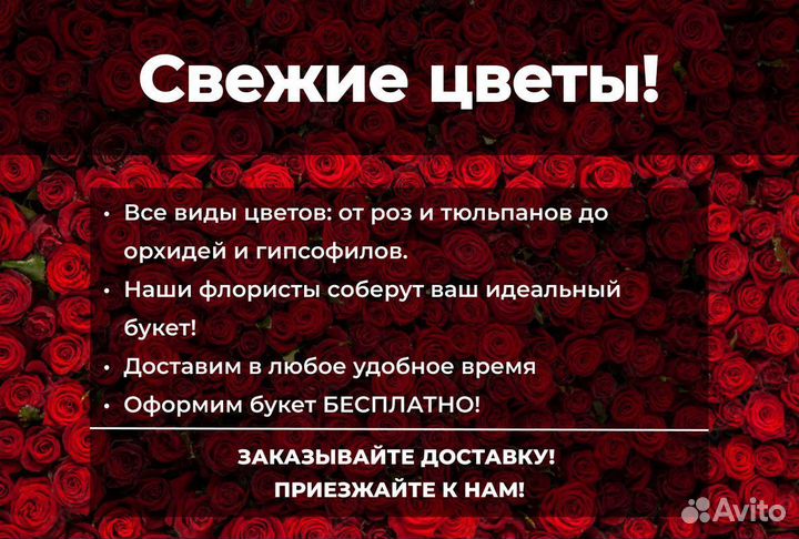 Цветы / доставка цветов / хризантемы