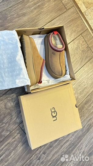 Ugg Tazz tasman Chestnut 39