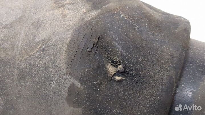 Амортизатор подвески левый задний Infiniti QX56