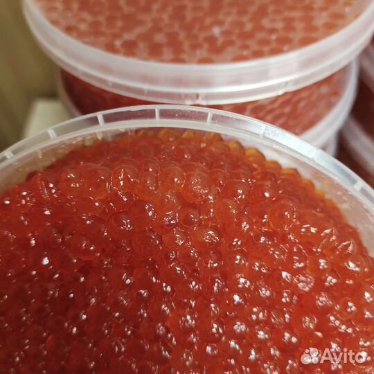 Икра красная свежая