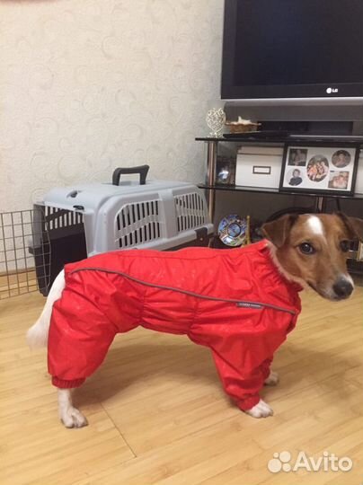 Дождевик для собак