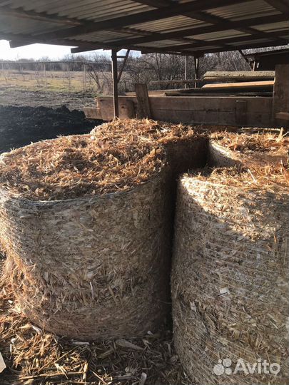 Продам сено в рулонах