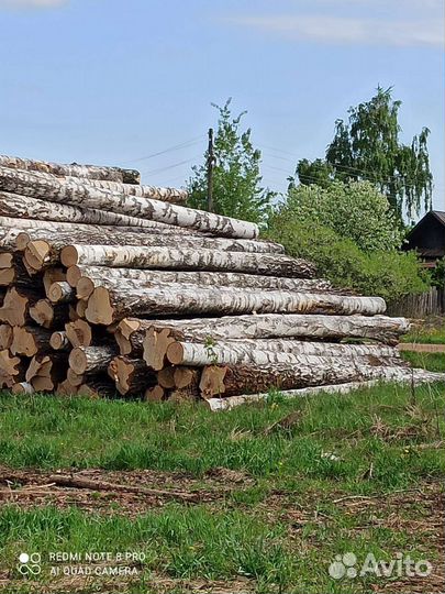 Лес кругляк пиловочник берёза