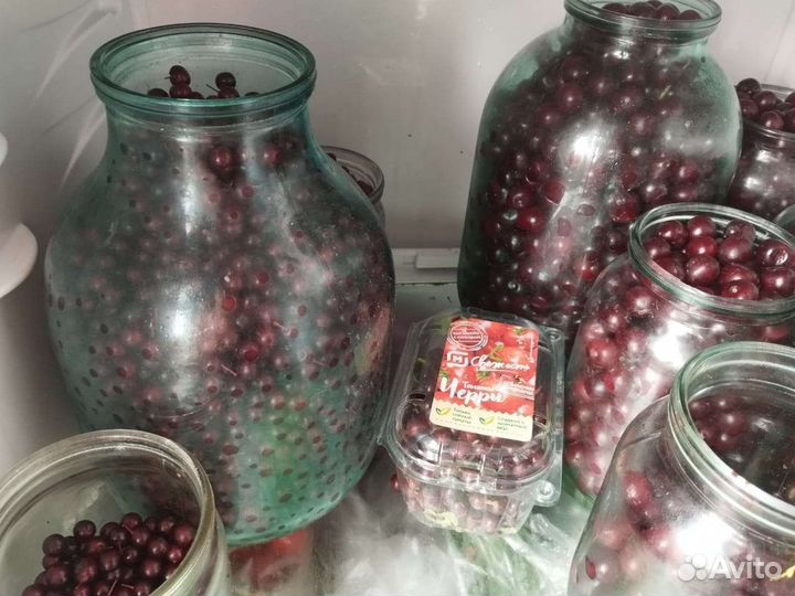 Черёмуха, вишня, облепиха