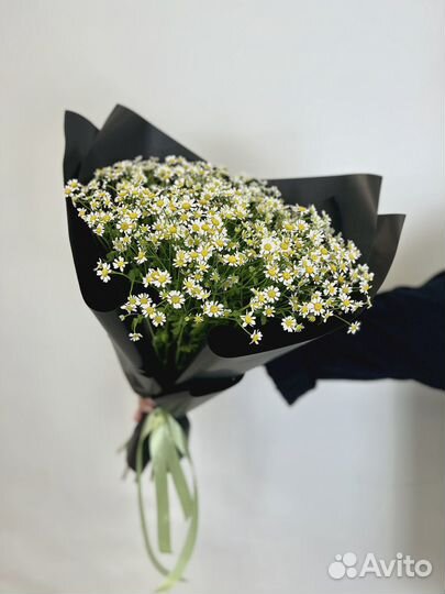 Моно букет из 17 Ромашек в матовой бумаге