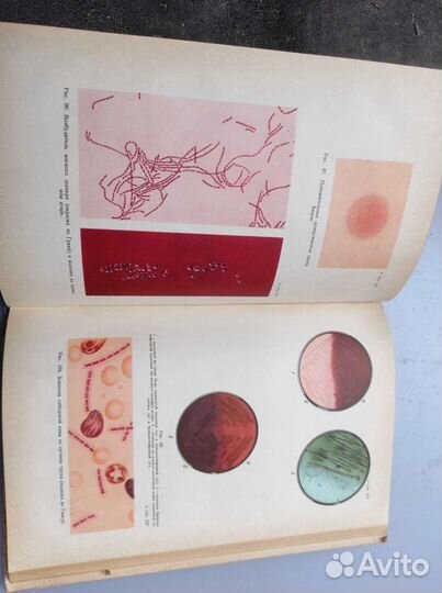 Пяткин К. Д. Микробиология с вирусологией и иммуно