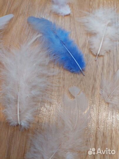 Перья декоративные