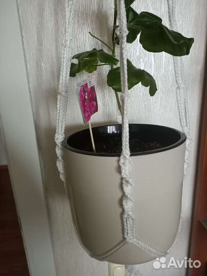 Подвес для цветов макраме