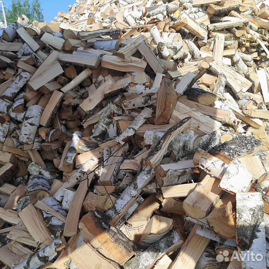 Дрова осина