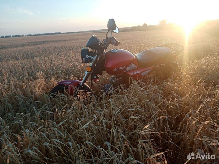 Мопед альфа FH50 - 2A