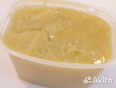 Мед донниковый оптом