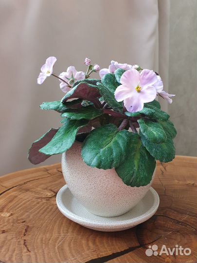 Фиалка. Ручная работа