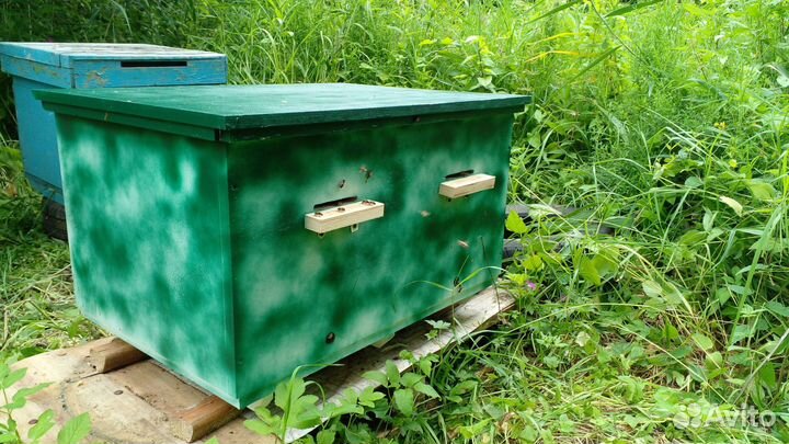 Ульи для пчел
