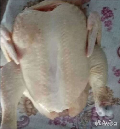 Куры бройлеры тушки мясо