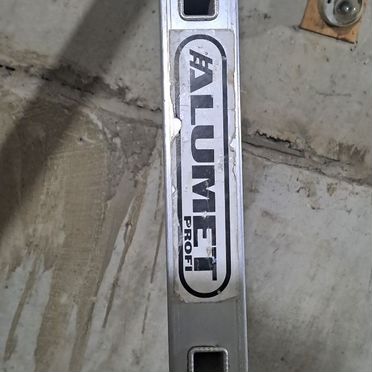 Азавак, взрослый пёс