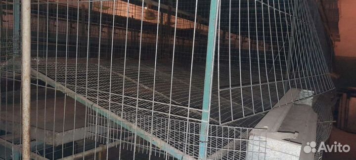 Клетки для кур