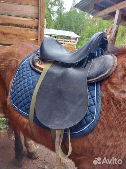 Седло скаковое