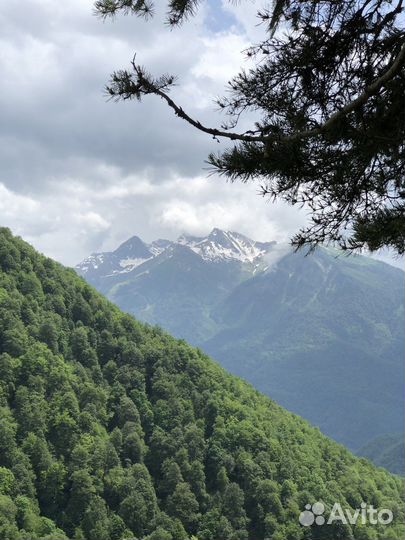 Гид, Красная поляна - Скала Сосновая