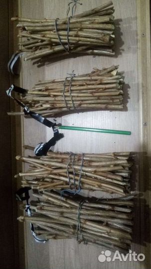 Черенки смородины. облепихи, ежевики, йошты