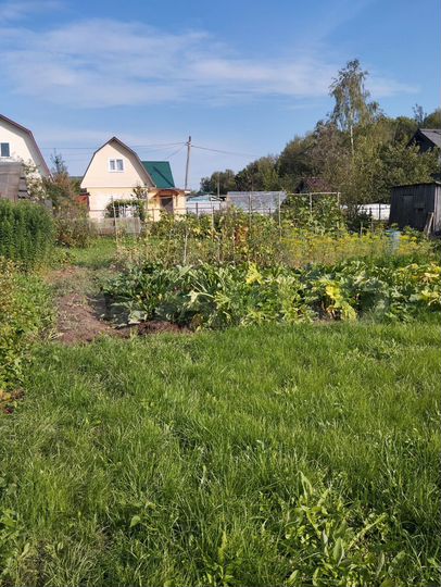 Участок 5 сот. (СНТ, ДНП)