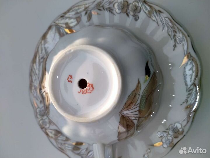 Мини-садики из суккулентов