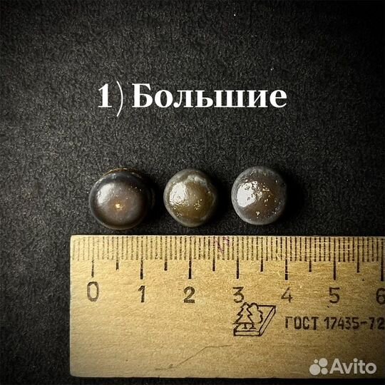 Зубы Pycnodus sp. окаменелость ископаемое