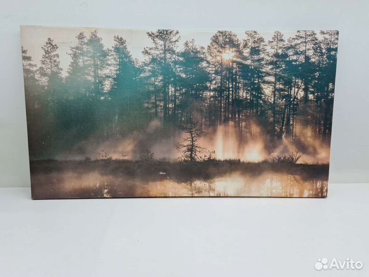 П.2972 Арт картины в ассортименте