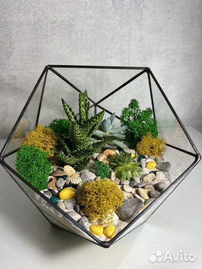 Флоррариум