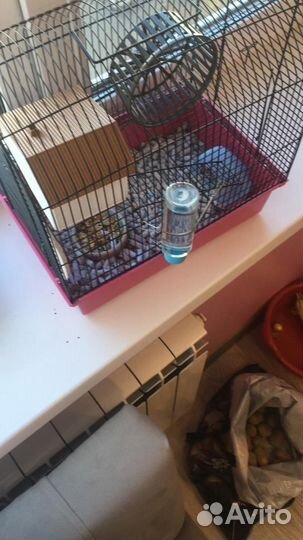 Джунгарский хомяк с клеткой