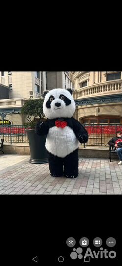 Белый мишка поздравления, чебурашка, панда