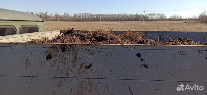 Продам навоз