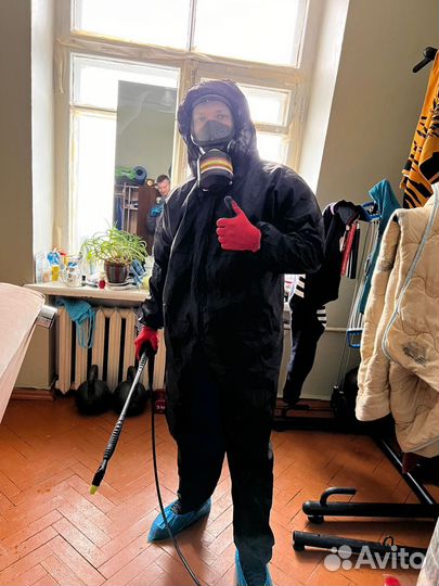 Потравить, уничтожить клопов и тараканов