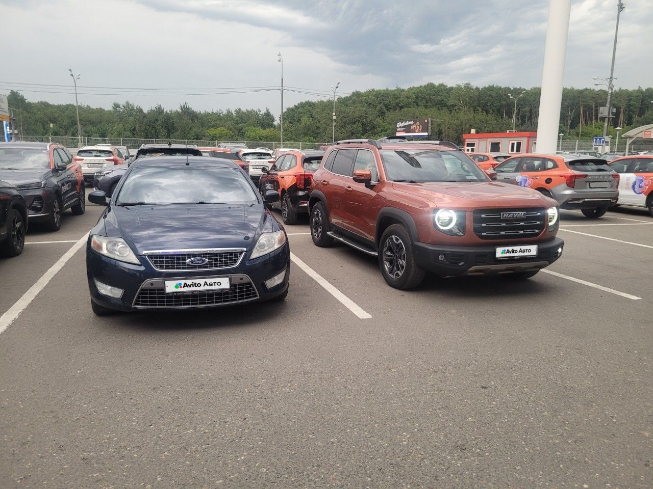 HAVAL Dargo: фото владельца