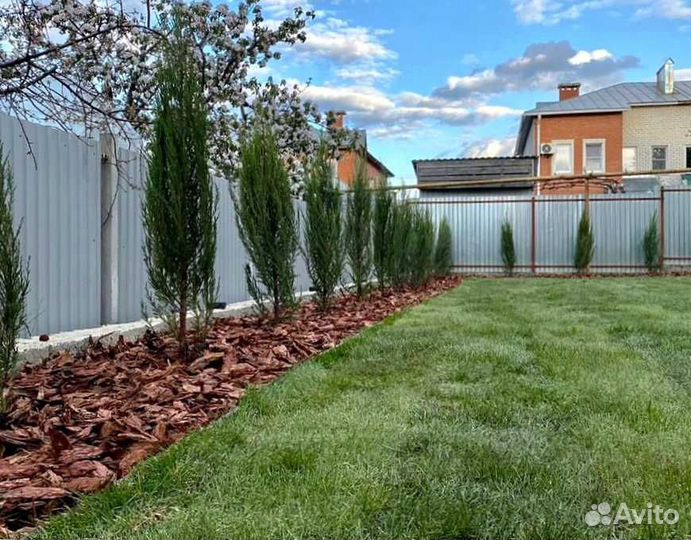 Рулонный газон