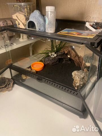 Террариум для рептилий и амфибий