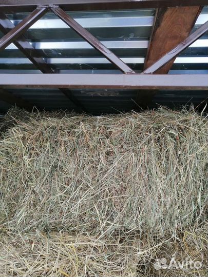 Сено в мешках. Тюках